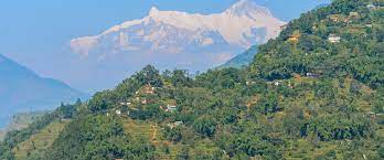 Guest Experience Image